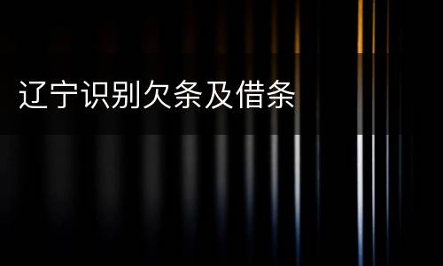 辽宁识别欠条及借条