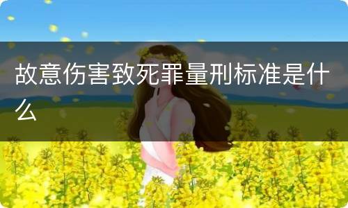 故意伤害致死罪量刑标准是什么