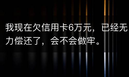 我现在欠信用卡6万元，已经无力偿还了，会不会做牢。