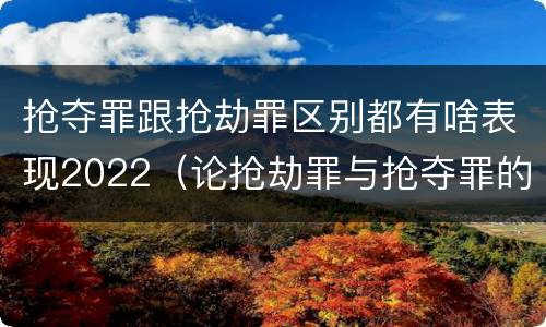抢夺罪跟抢劫罪区别都有啥表现2022（论抢劫罪与抢夺罪的界限）