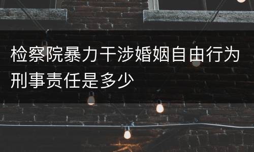 检察院暴力干涉婚姻自由行为刑事责任是多少