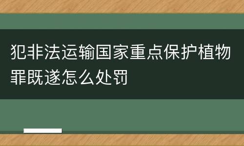 犯非法运输国家重点保护植物罪既遂怎么处罚