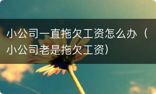 小公司一直拖欠工资怎么办（小公司老是拖欠工资）