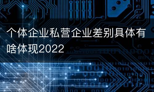 个体企业私营企业差别具体有啥体现2022
