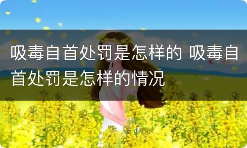 吸毒自首处罚是怎样的 吸毒自首处罚是怎样的情况