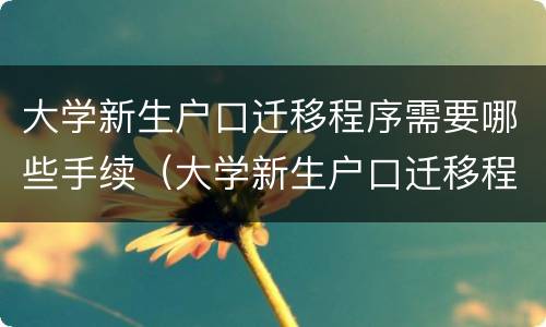 大学新生户口迁移程序需要哪些手续（大学新生户口迁移程序需要哪些手续呢）