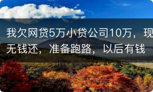 我欠网贷5万小贷公司10万，现无钱还，准备跑路，以后有钱了在还可以吗