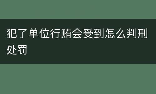 犯了单位行贿会受到怎么判刑处罚