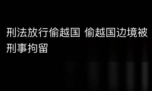 刑法放行偷越国 偷越国边境被刑事拘留