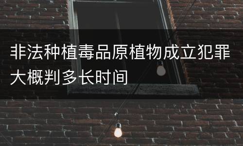 非法种植毒品原植物成立犯罪大概判多长时间