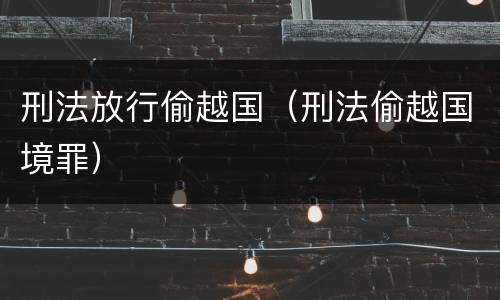 刑法放行偷越国（刑法偷越国境罪）