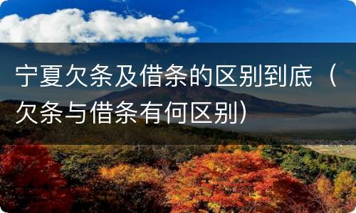 宁夏欠条及借条的区别到底（欠条与借条有何区别）