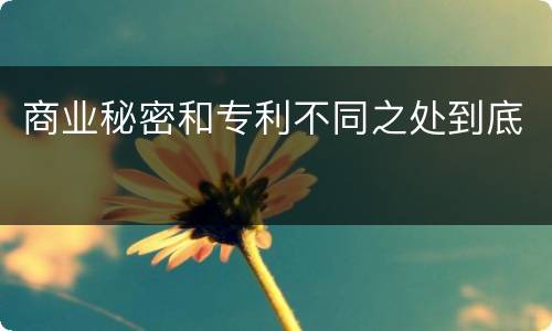 商业秘密和专利不同之处到底