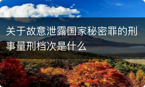 关于故意泄露国家秘密罪的刑事量刑档次是什么