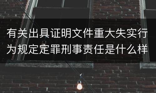 有关出具证明文件重大失实行为规定定罪刑事责任是什么样