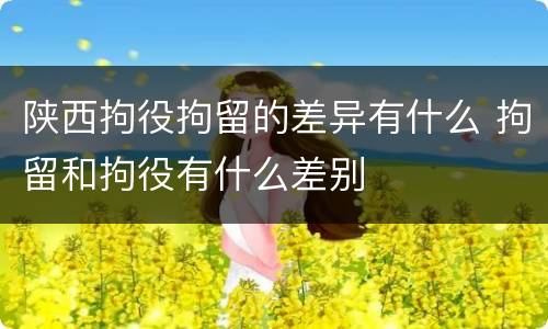 陕西拘役拘留的差异有什么 拘留和拘役有什么差别