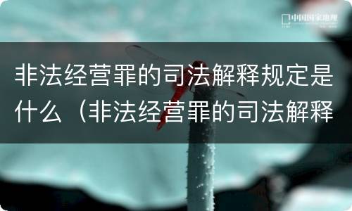 非法经营罪的司法解释规定是什么（非法经营罪的司法解释规定是什么意思）