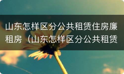 山东怎样区分公共租赁住房廉租房（山东怎样区分公共租赁住房廉租房和商品房）