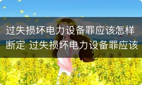 过失损坏电力设备罪应该怎样断定 过失损坏电力设备罪应该怎样断定责任