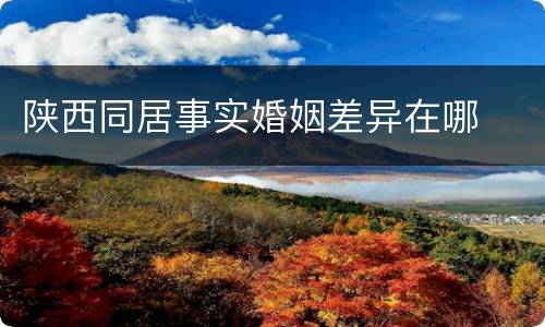 陕西同居事实婚姻差异在哪