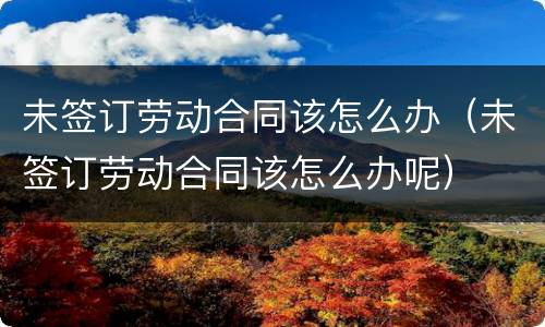 未签订劳动合同该怎么办（未签订劳动合同该怎么办呢）