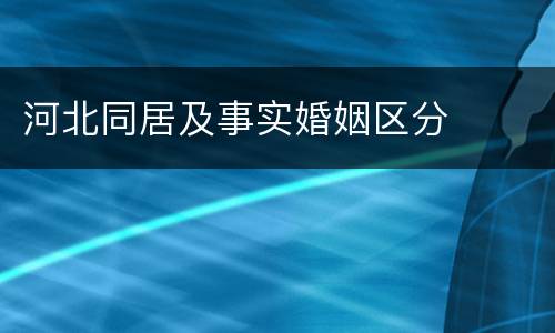 河北同居及事实婚姻区分