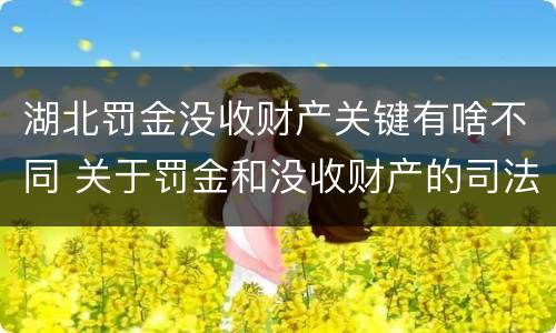 湖北罚金没收财产关键有啥不同 关于罚金和没收财产的司法解释