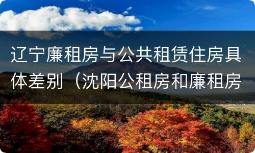 辽宁廉租房与公共租赁住房具体差别（沈阳公租房和廉租房的区别）