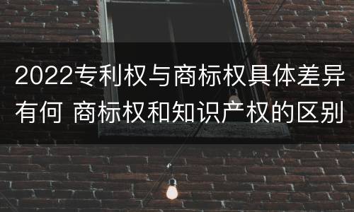 2022专利权与商标权具体差异有何 商标权和知识产权的区别