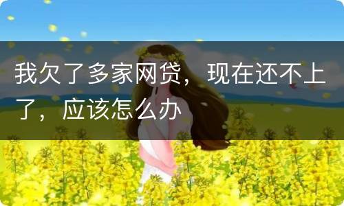 我欠了多家网贷，现在还不上了，应该怎么办