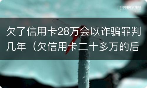 欠了信用卡28万会以诈骗罪判几年（欠信用卡二十多万的后果）