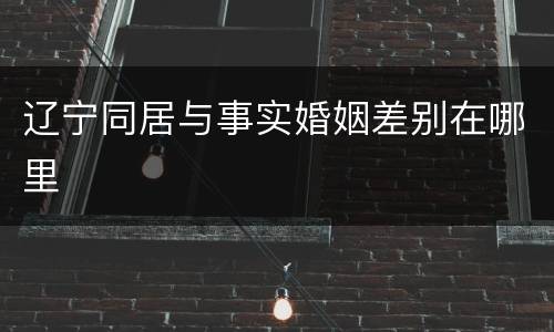 辽宁同居与事实婚姻差别在哪里