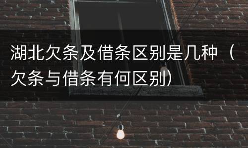 湖北欠条及借条区别是几种（欠条与借条有何区别）