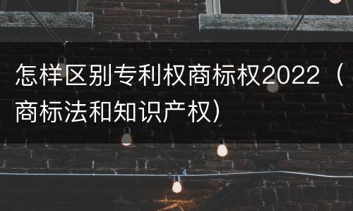 怎样区别专利权商标权2022（商标法和知识产权）