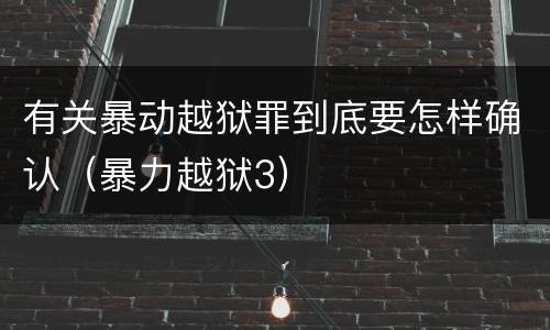 有关暴动越狱罪到底要怎样确认（暴力越狱3）