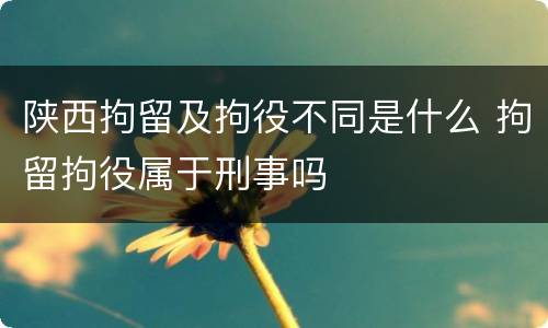 陕西拘留及拘役不同是什么 拘留拘役属于刑事吗