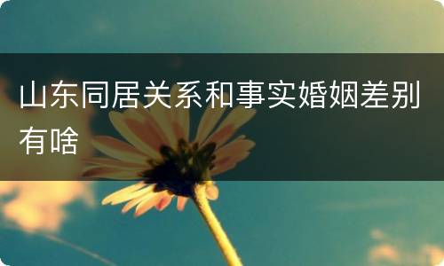 山东同居关系和事实婚姻差别有啥