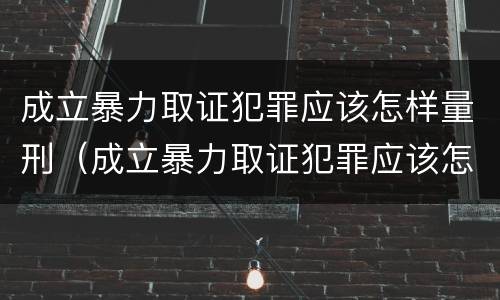 成立暴力取证犯罪应该怎样量刑（成立暴力取证犯罪应该怎样量刑呢）