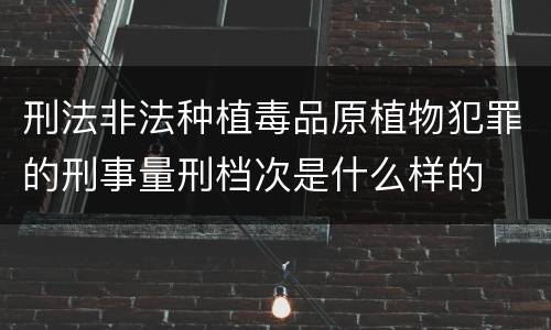 刑法非法种植毒品原植物犯罪的刑事量刑档次是什么样的