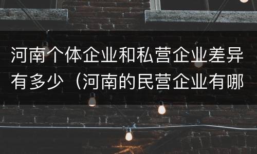 河南个体企业和私营企业差异有多少（河南的民营企业有哪些）