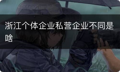 浙江个体企业私营企业不同是啥