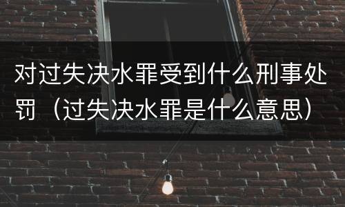 对过失决水罪受到什么刑事处罚（过失决水罪是什么意思）