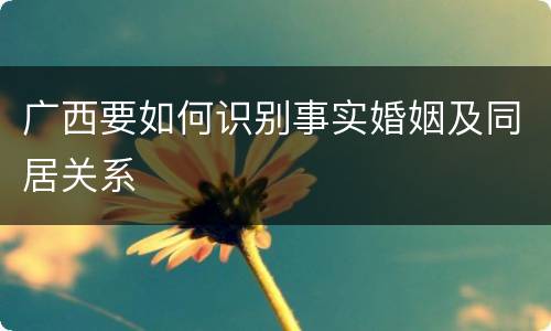广西要如何识别事实婚姻及同居关系