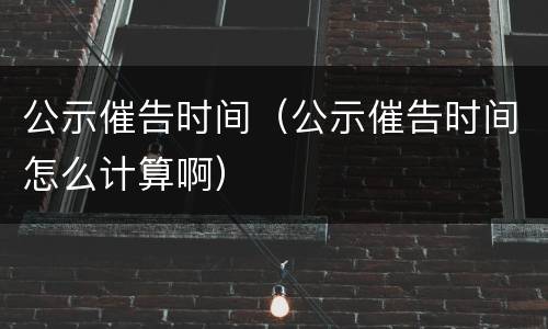 公示催告时间（公示催告时间怎么计算啊）