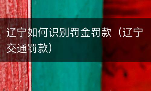 辽宁如何识别罚金罚款（辽宁交通罚款）