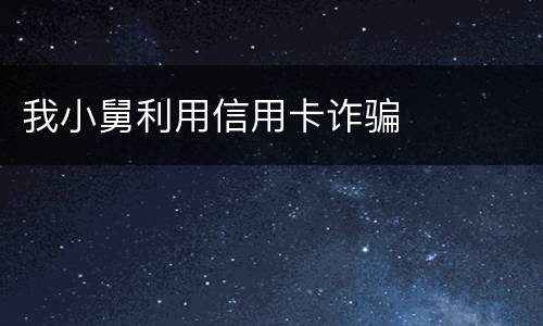 我小舅利用信用卡诈骗