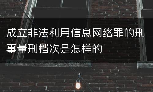 成立非法利用信息网络罪的刑事量刑档次是怎样的