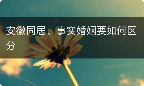 安徽同居、事实婚姻要如何区分