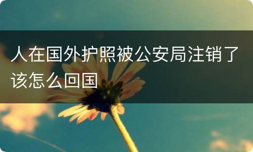 人在国外护照被公安局注销了该怎么回国