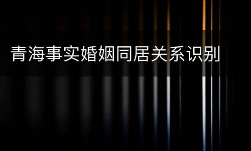 青海事实婚姻同居关系识别